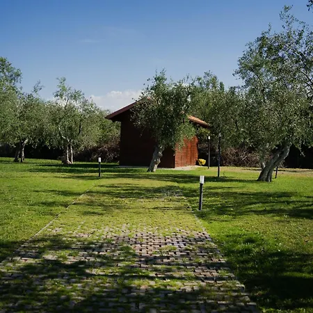 Erada Affittacamere Bari