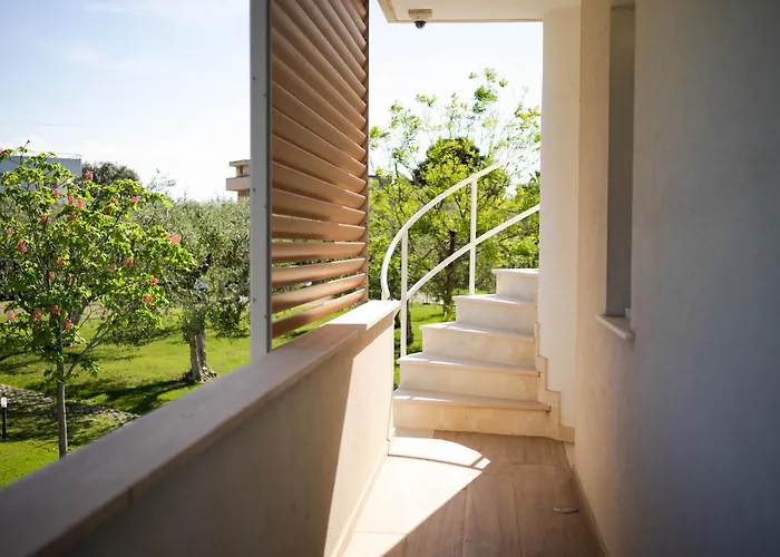 Erada 招待所 巴里