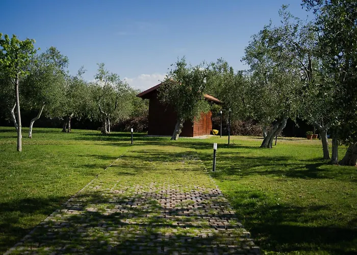 Erada 招待所 巴里